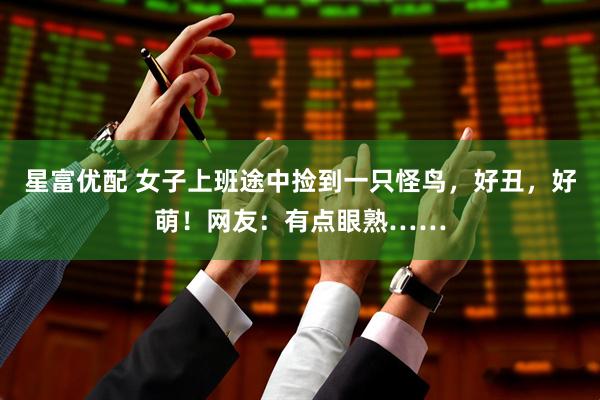 星富优配 女子上班途中捡到一只怪鸟，好丑，好萌！网友：有点眼熟……