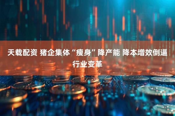 天载配资 猪企集体“瘦身”降产能 降本增效倒逼行业变革