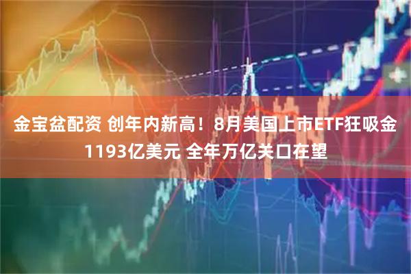 金宝盆配资 创年内新高！8月美国上市ETF狂吸金1193亿美元 全年万亿关口在望