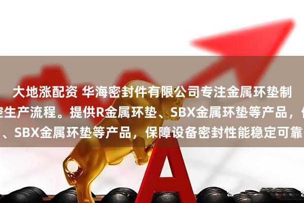 大地涨配资 华海密封件有限公司专注金属环垫制造，技术团队严格把控生产流程。提供R金属环垫、SBX金属环垫等产品，保障设备密封性能稳定可靠