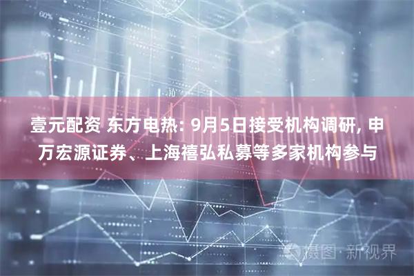 壹元配资 东方电热: 9月5日接受机构调研, 申万宏源证券、上海禧弘私募等多家机构参与