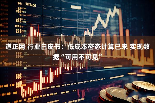 道正网 行业白皮书：低成本密态计算已来 实现数据“可用不可见”