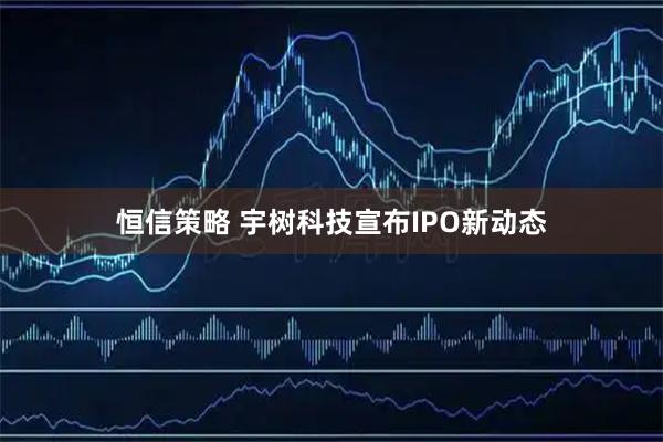 恒信策略 宇树科技宣布IPO新动态
