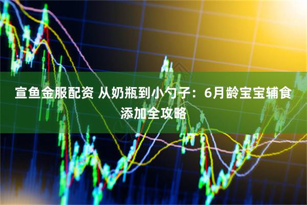 宣鱼金服配资 从奶瓶到小勺子：6月龄宝宝辅食添加全攻略
